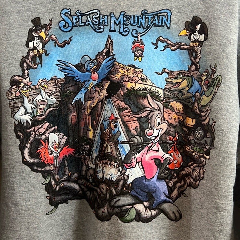 Disney Parks Splash Mountain Sweatshirt Crewneck
